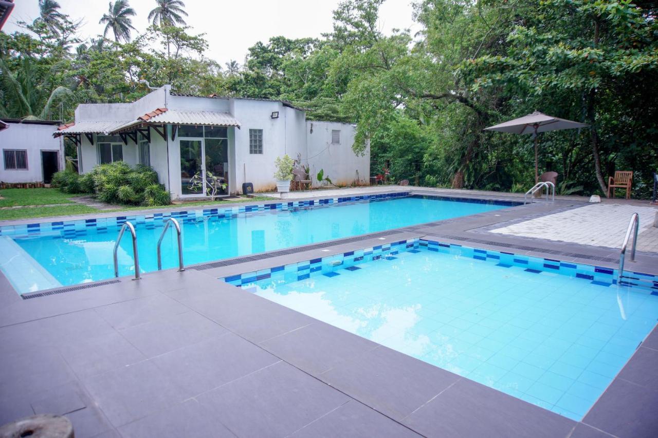 Hotel Blue Fox Hikkaduwa Exterior foto