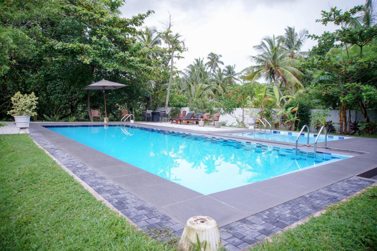 Hotel Blue Fox Hikkaduwa Exterior foto